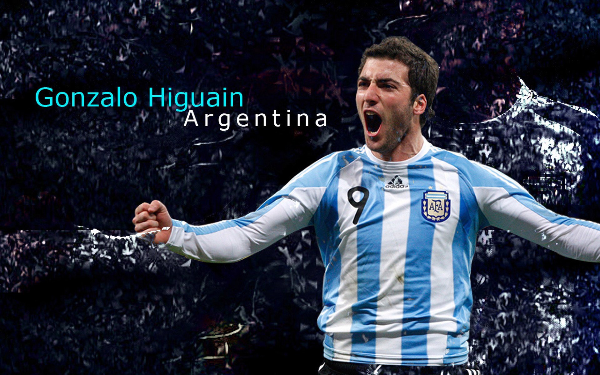 健身教练专业建议